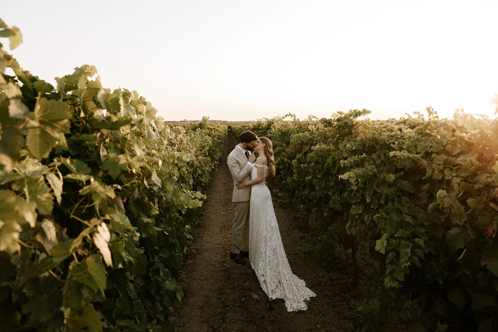 In the golden glow of a Puglia vineyard at sunset, a newlywed couple shares an intimate embrace among the vines.