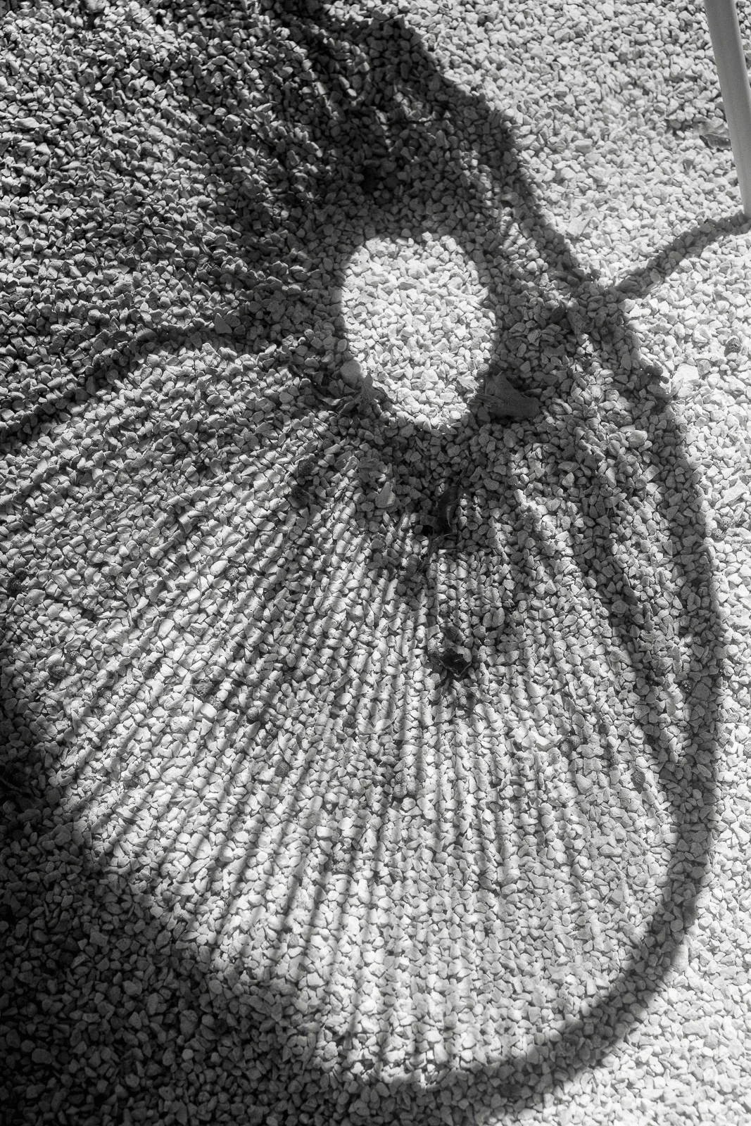 Black and white light filters over Italian gravel, casting elegant rings—reminiscent of sunlit moments at a Puglian wedding.