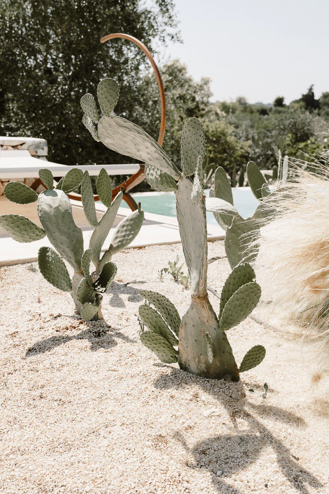 Prickly pear cacti line a sunlit poolside in Puglia, Italy, setting an elegant tone for destination wedding gatherings.