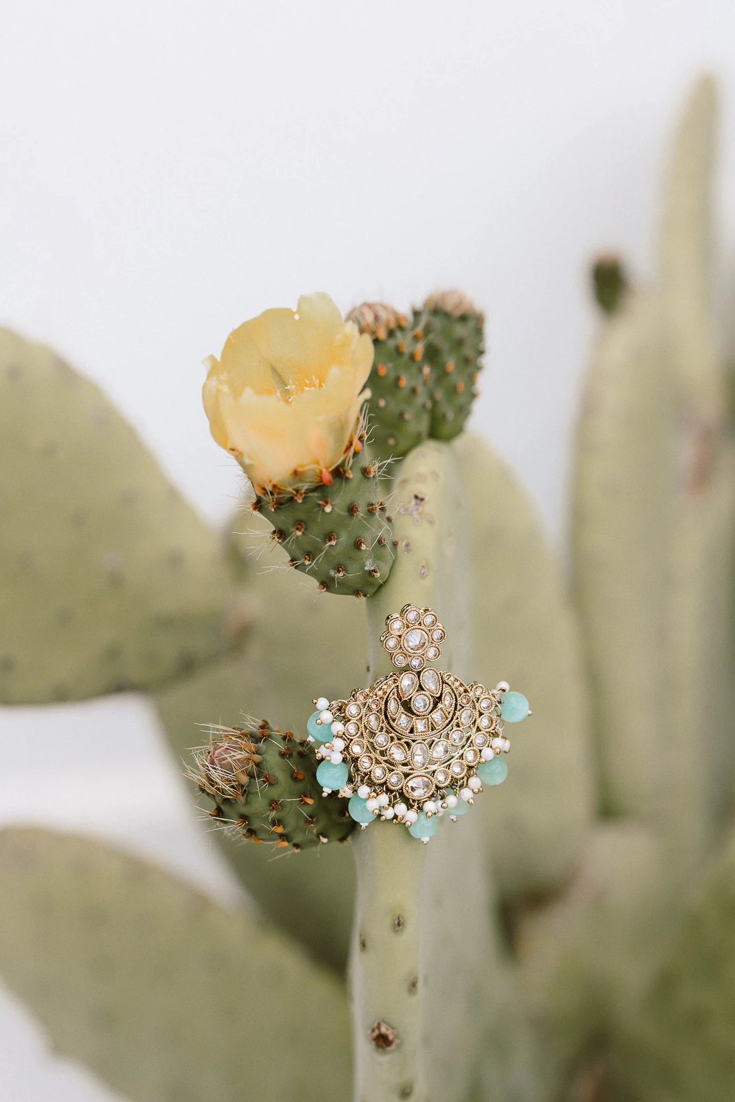A gold and turquoise earring rests on a prickly pear cactus, evoking effortless elegance in sun-drenched Puglia, Italy.