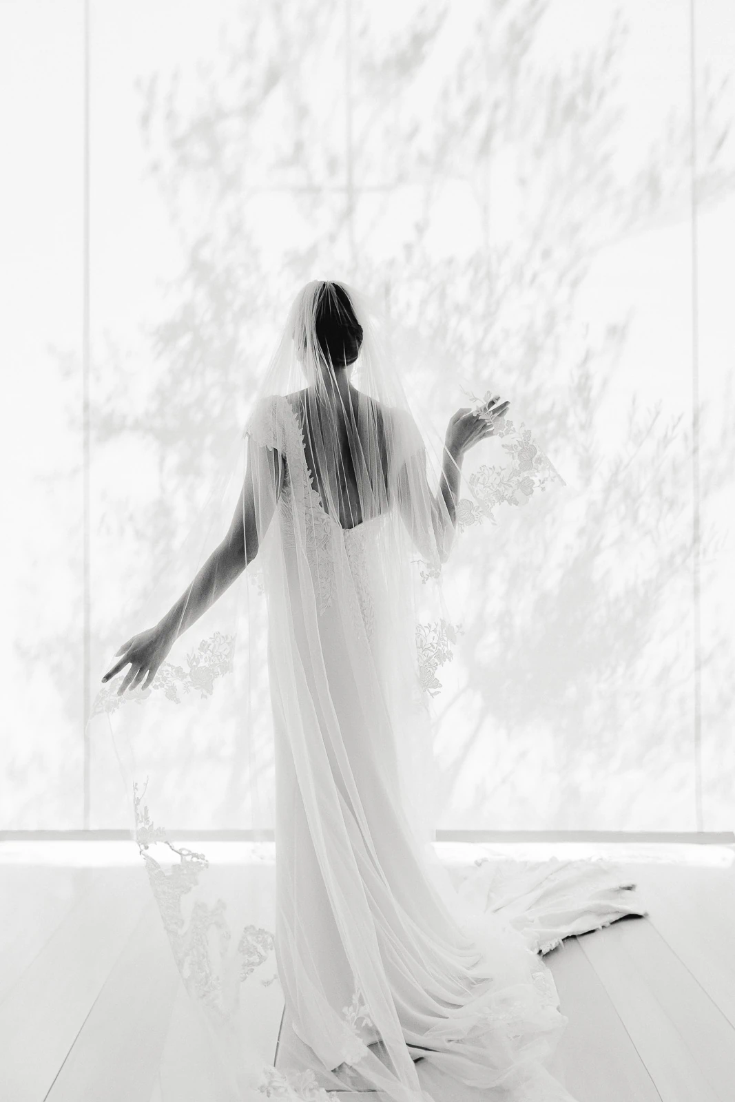 A bride in a flowing veil gazes out a sunlit window in Puglia, dappled with tree shadows, evoking serene anticipation.