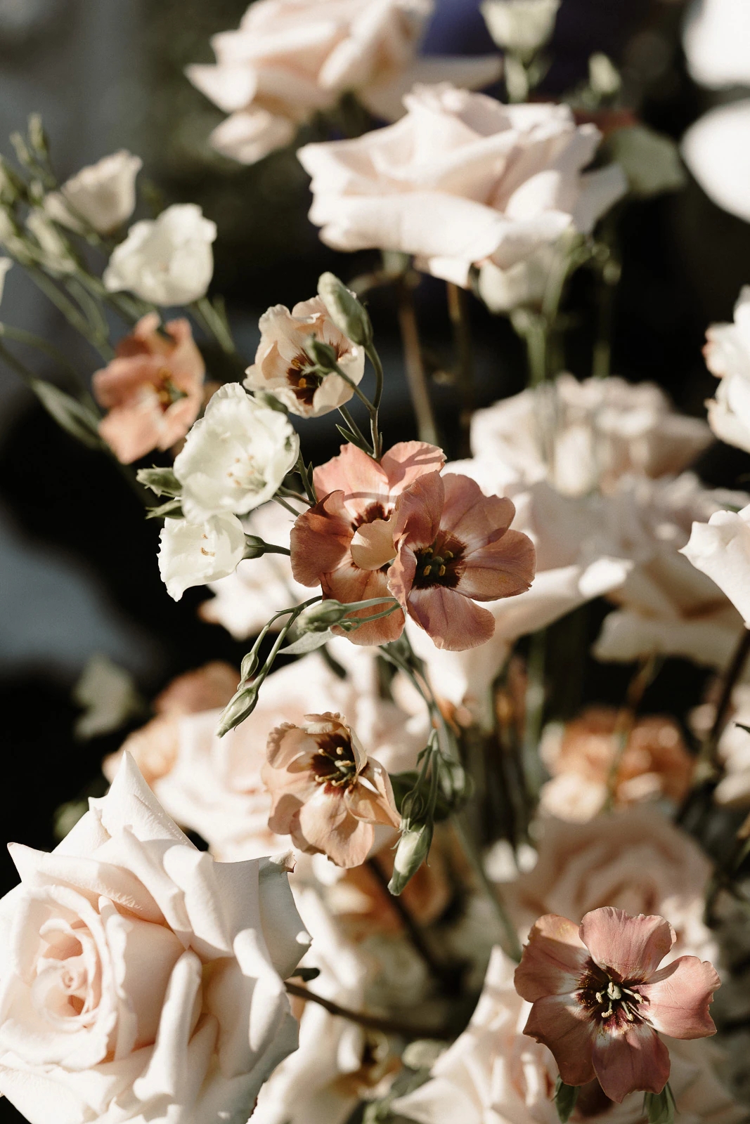 Soft pink and white roses with peach accents, elegantly arranged for an intimate Puglia wedding in gentle Italian sunlight.