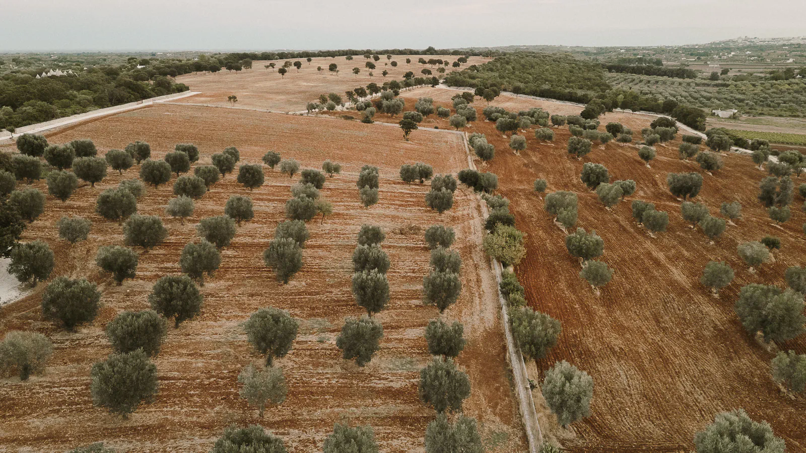 destination editorial wedding puglia masseria grieco