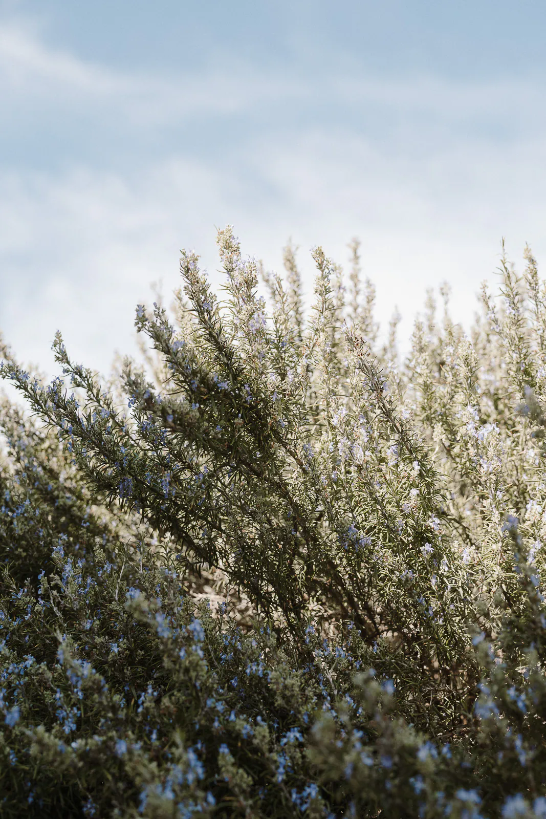 destination editorial wedding puglia masseria grieco