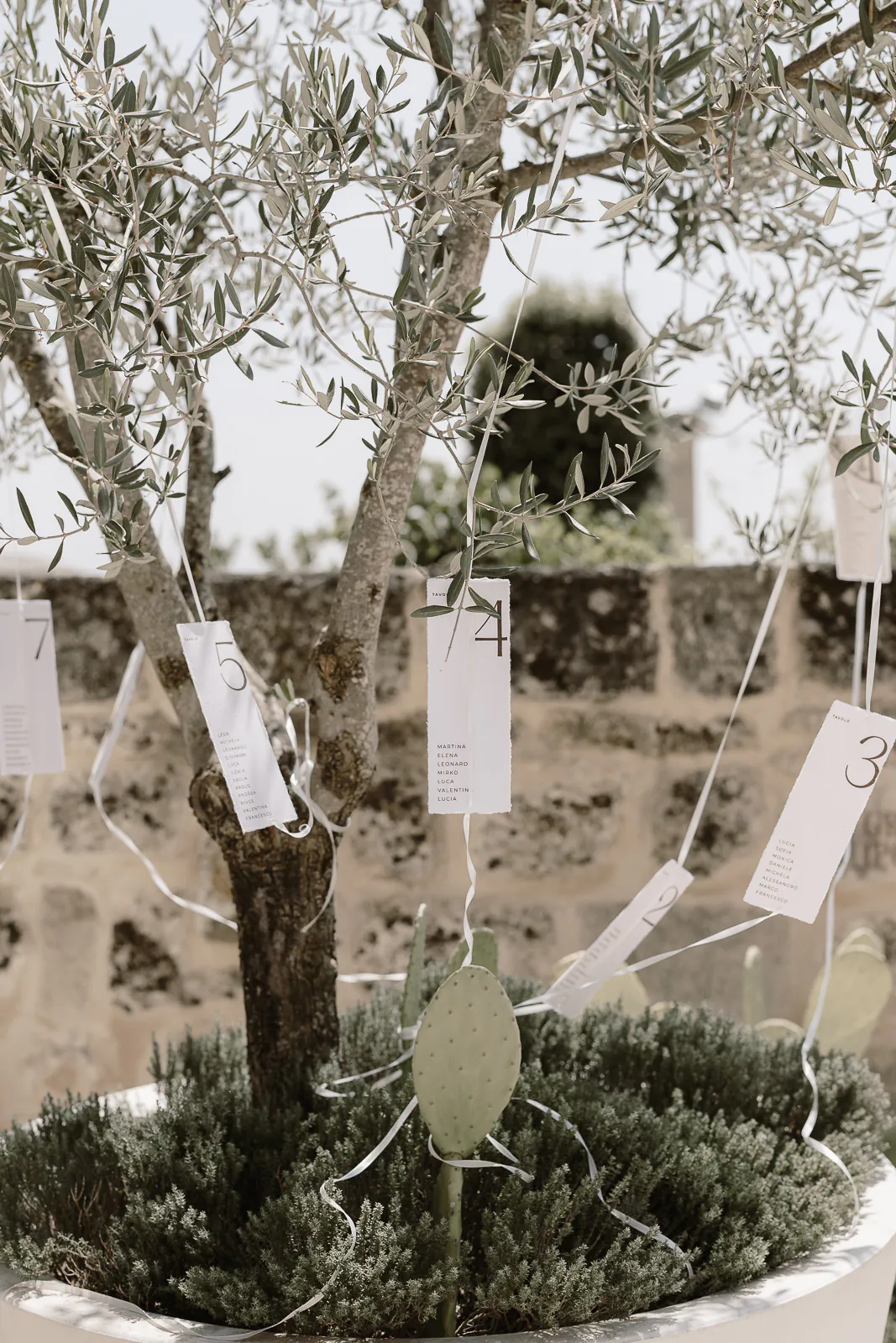 destination wedding matera
