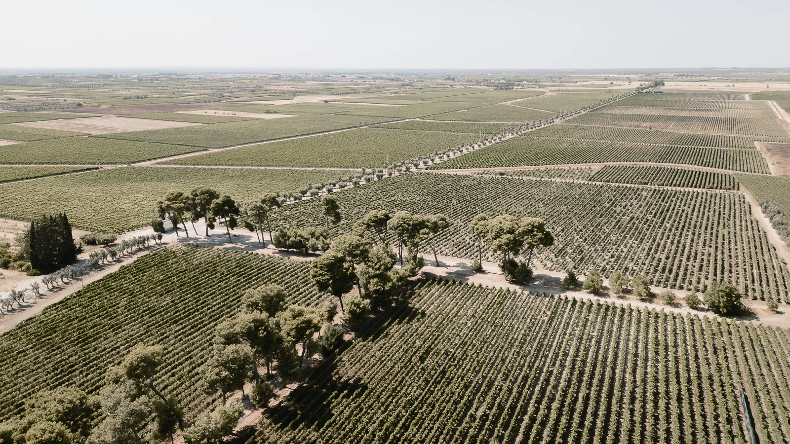 destination wedding puglia a castello monaci