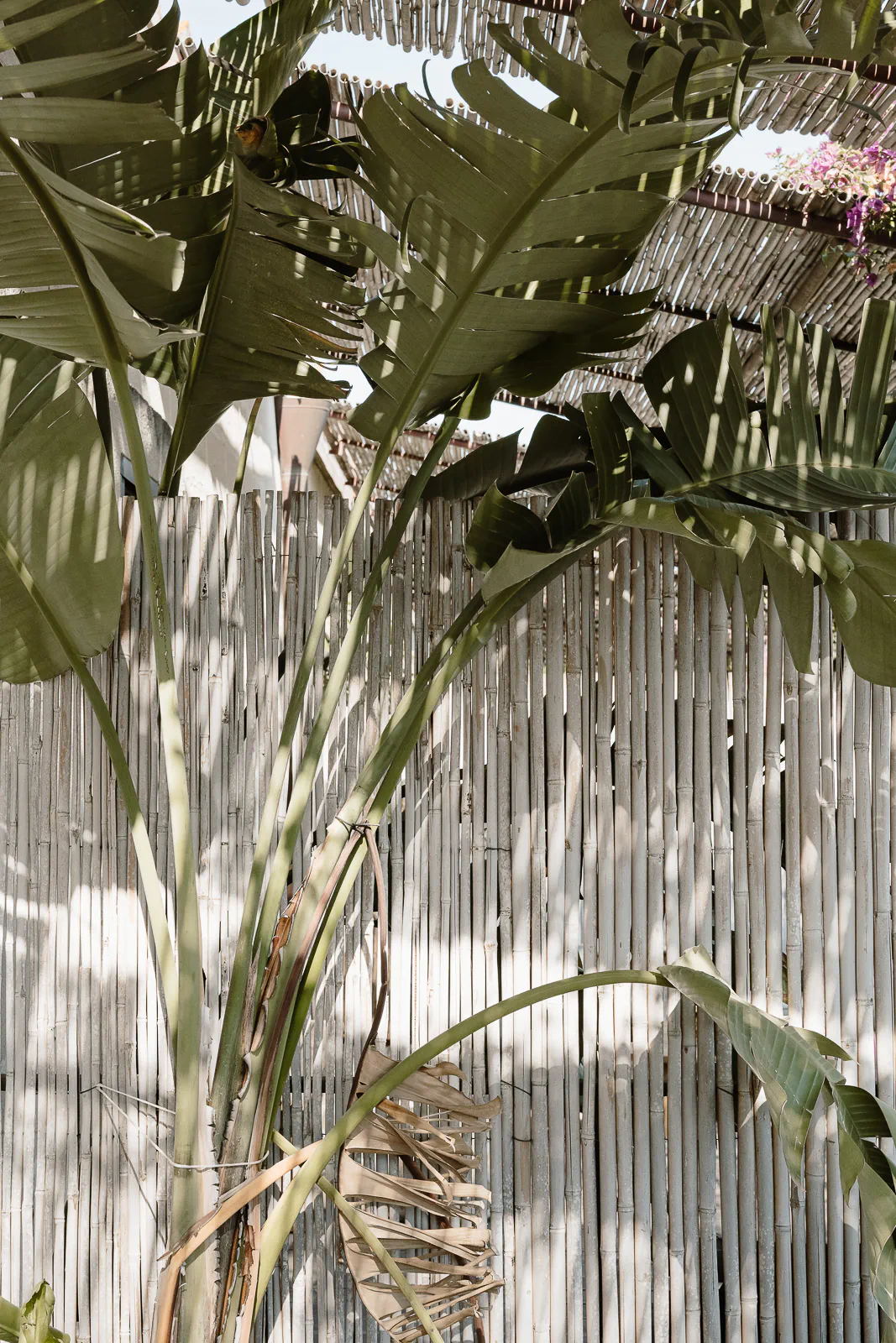 destination wedding puglia a castello monaci