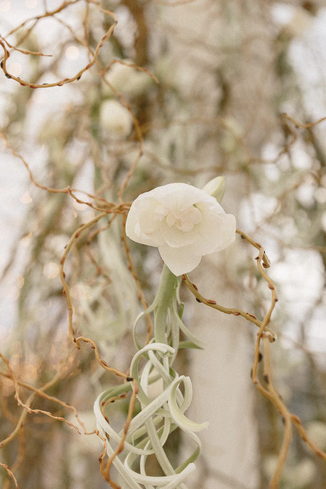 destination wedding puglia borgo egnazia