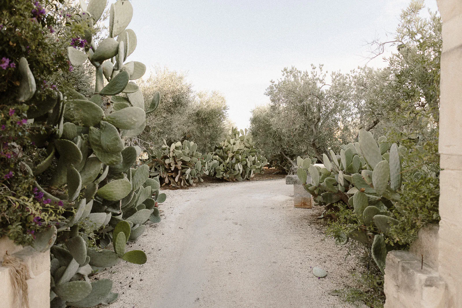 destination wedding puglia borgo egnazia