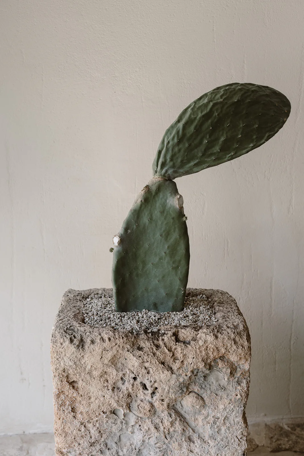 destination wedding puglia featuerd vogue