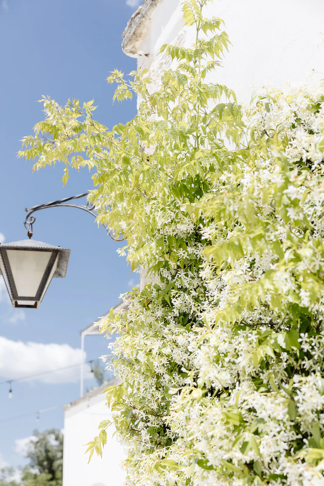 destination wedding puglia masseria san michele