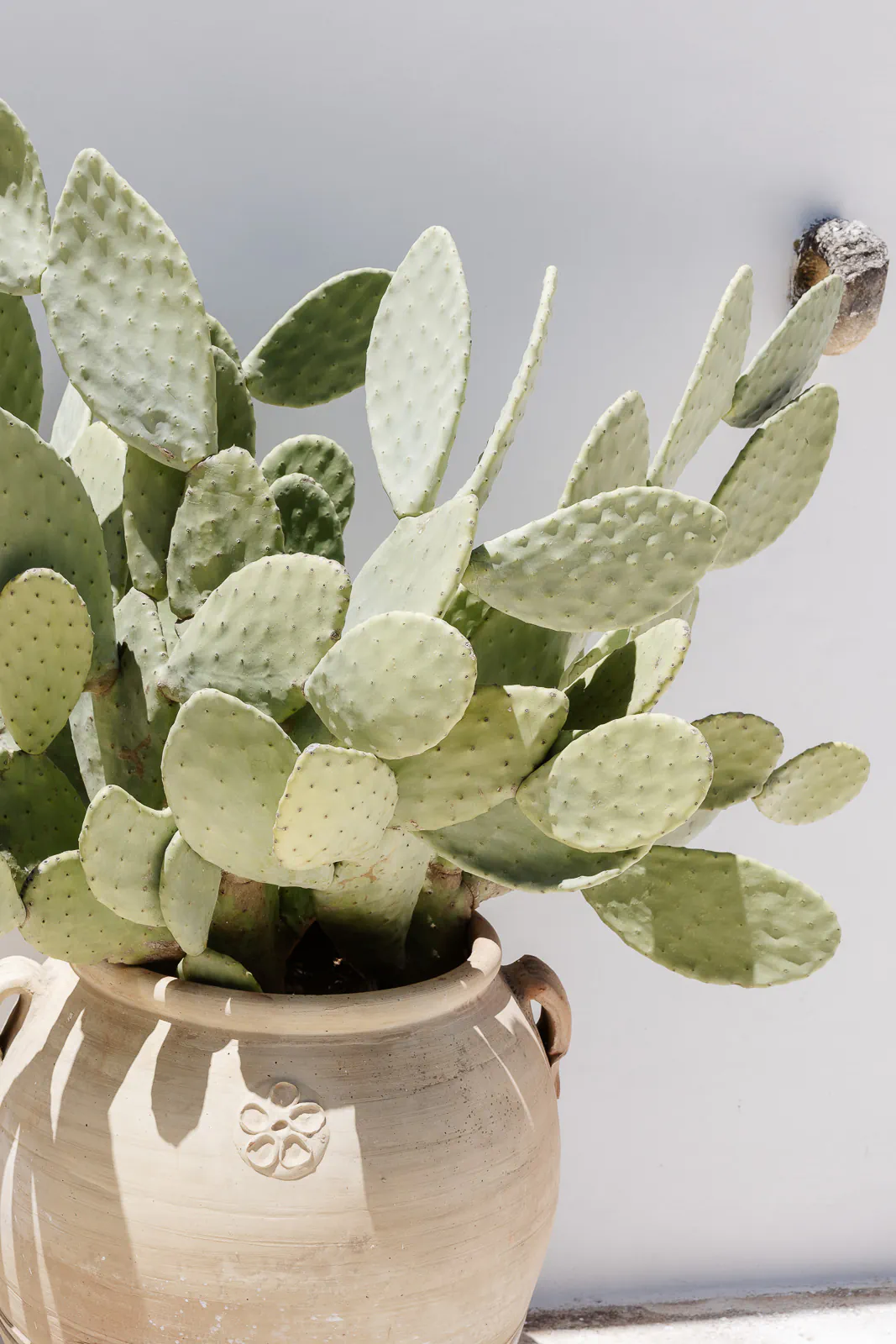 destination wedding puglia masseria san michele