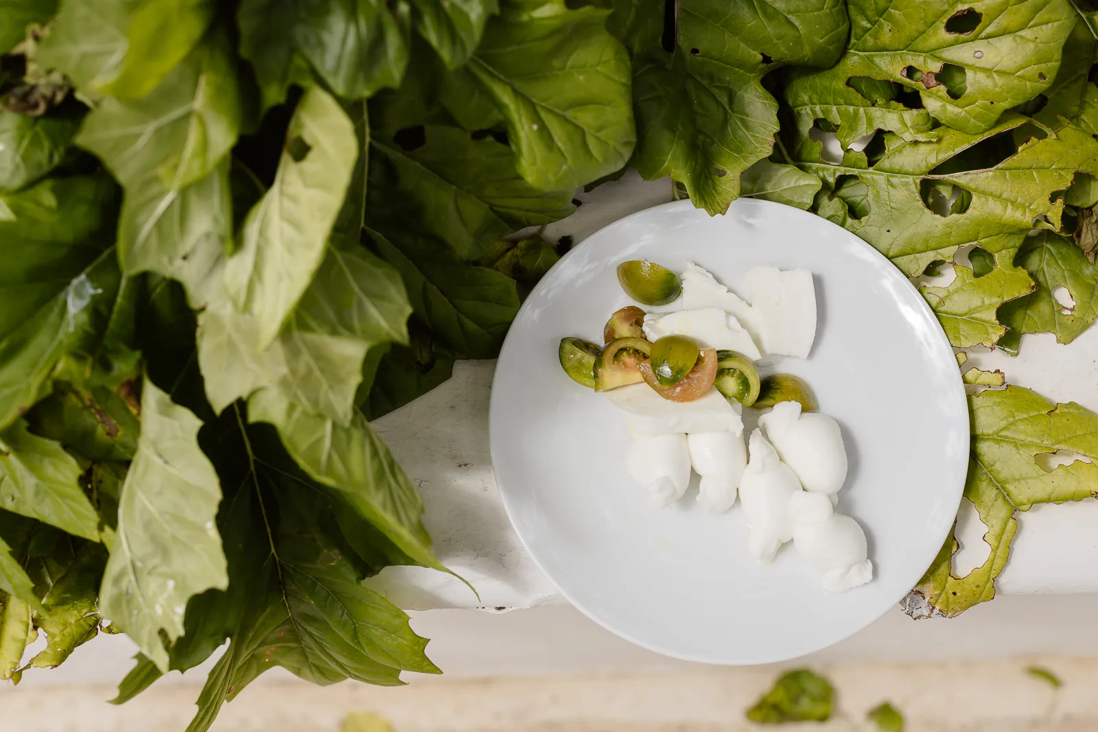 destination wedding puglia masseria san michele