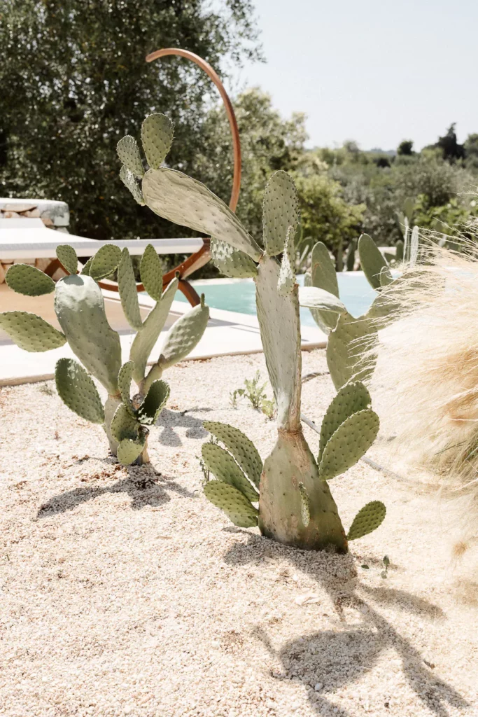 destination wedding puglia villa rocca