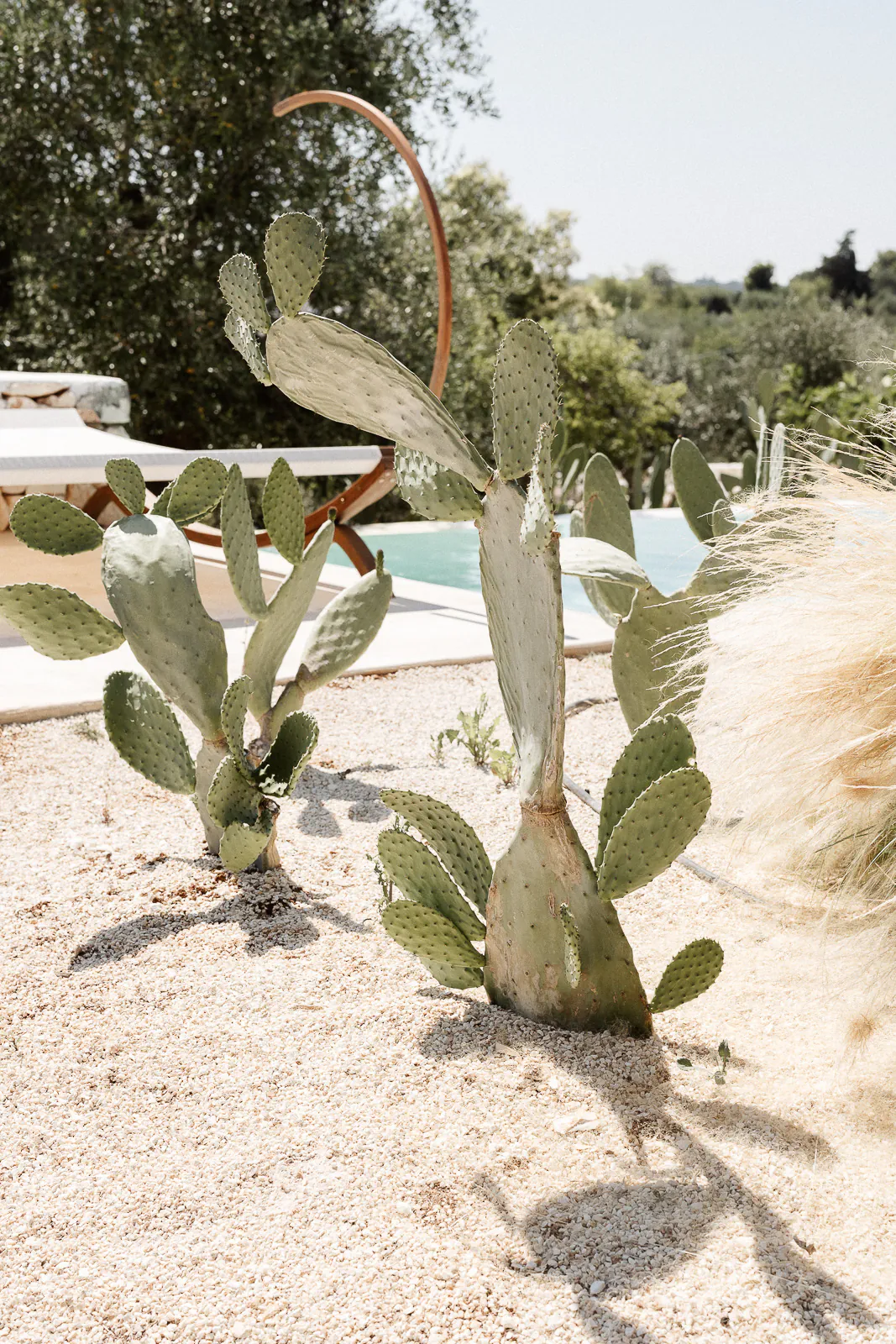 destination wedding puglia villa rocca