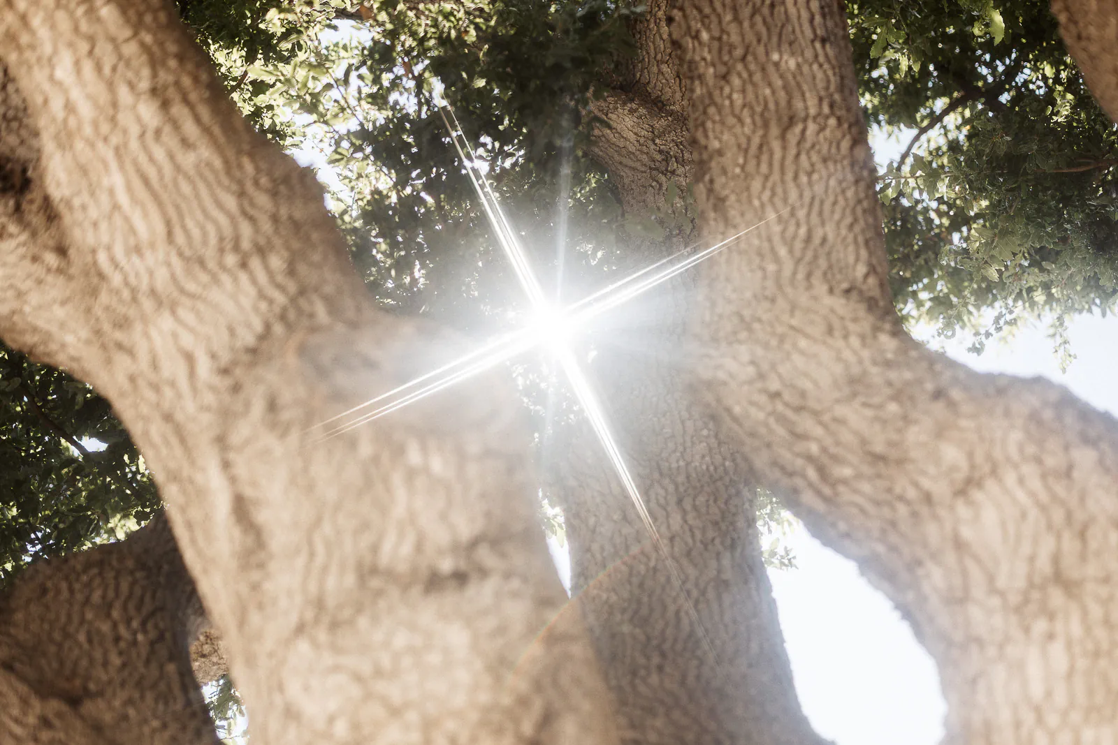 destination wedding puglia villa rocca