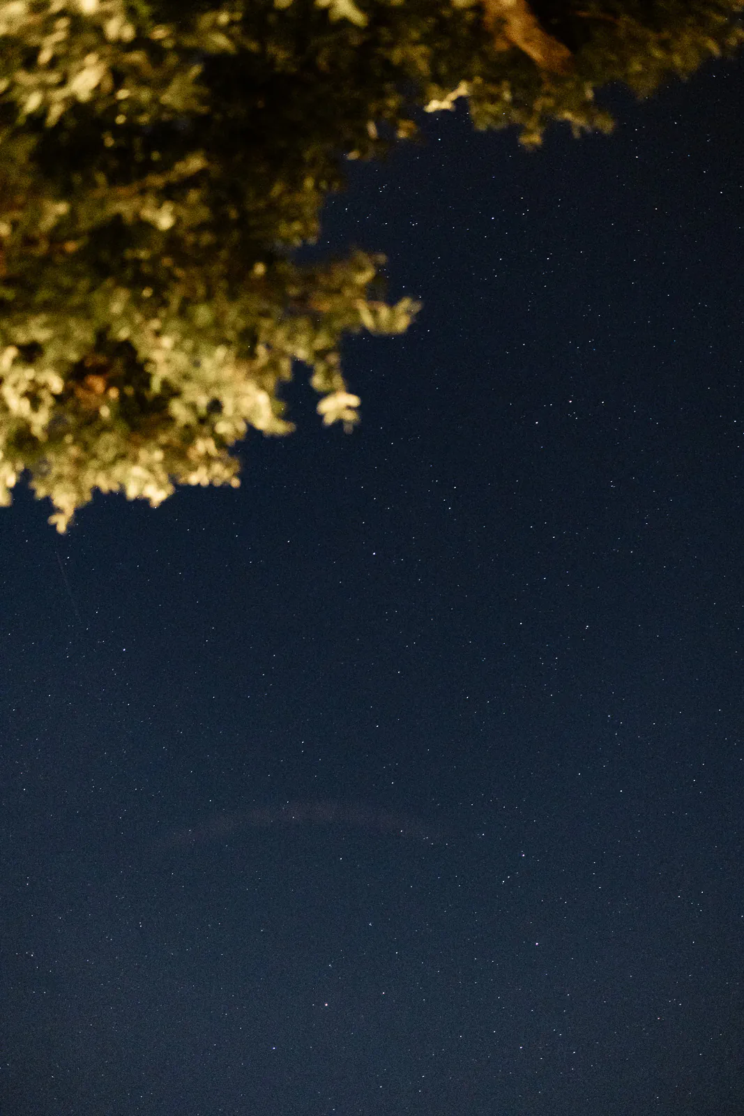 destination wedding puglia villa rocca