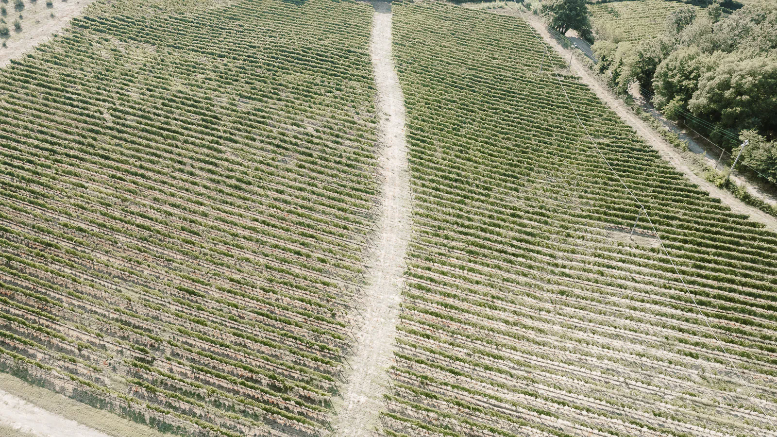 destination wedding tuscany san galgano