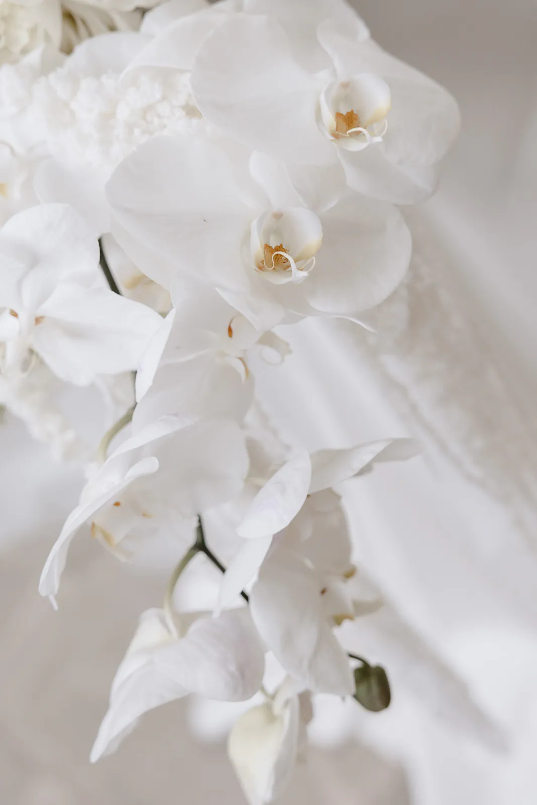 fashion destination wedding puglia lecce