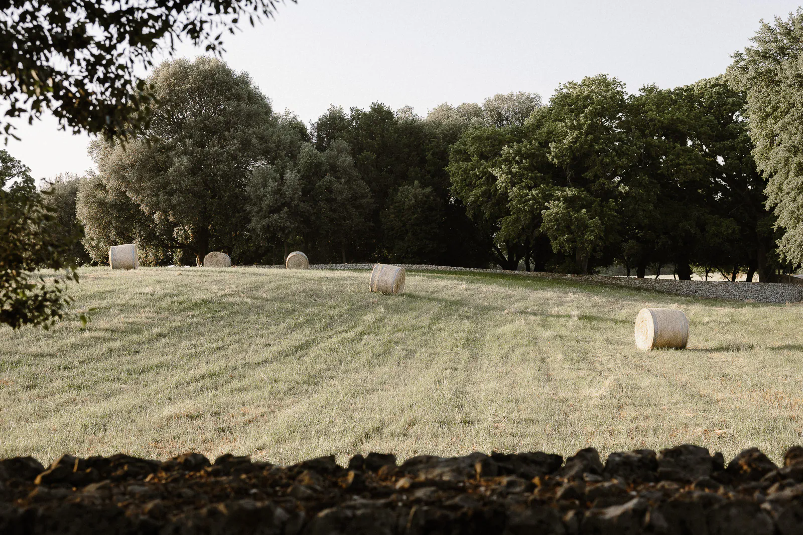 wedding puglia masseria palesi