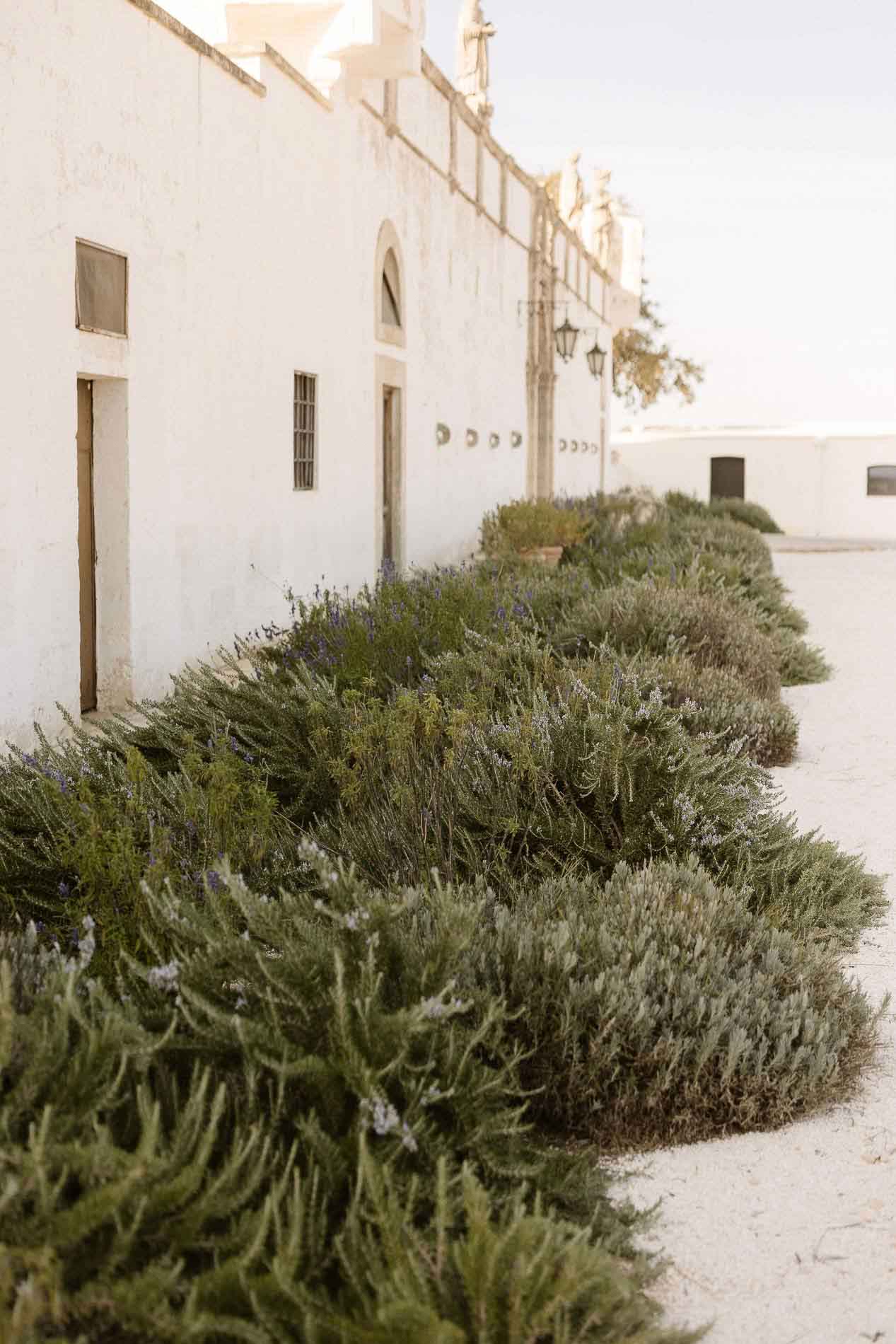 fotografo matrimonio bari fasano masseria palesi elegante chic