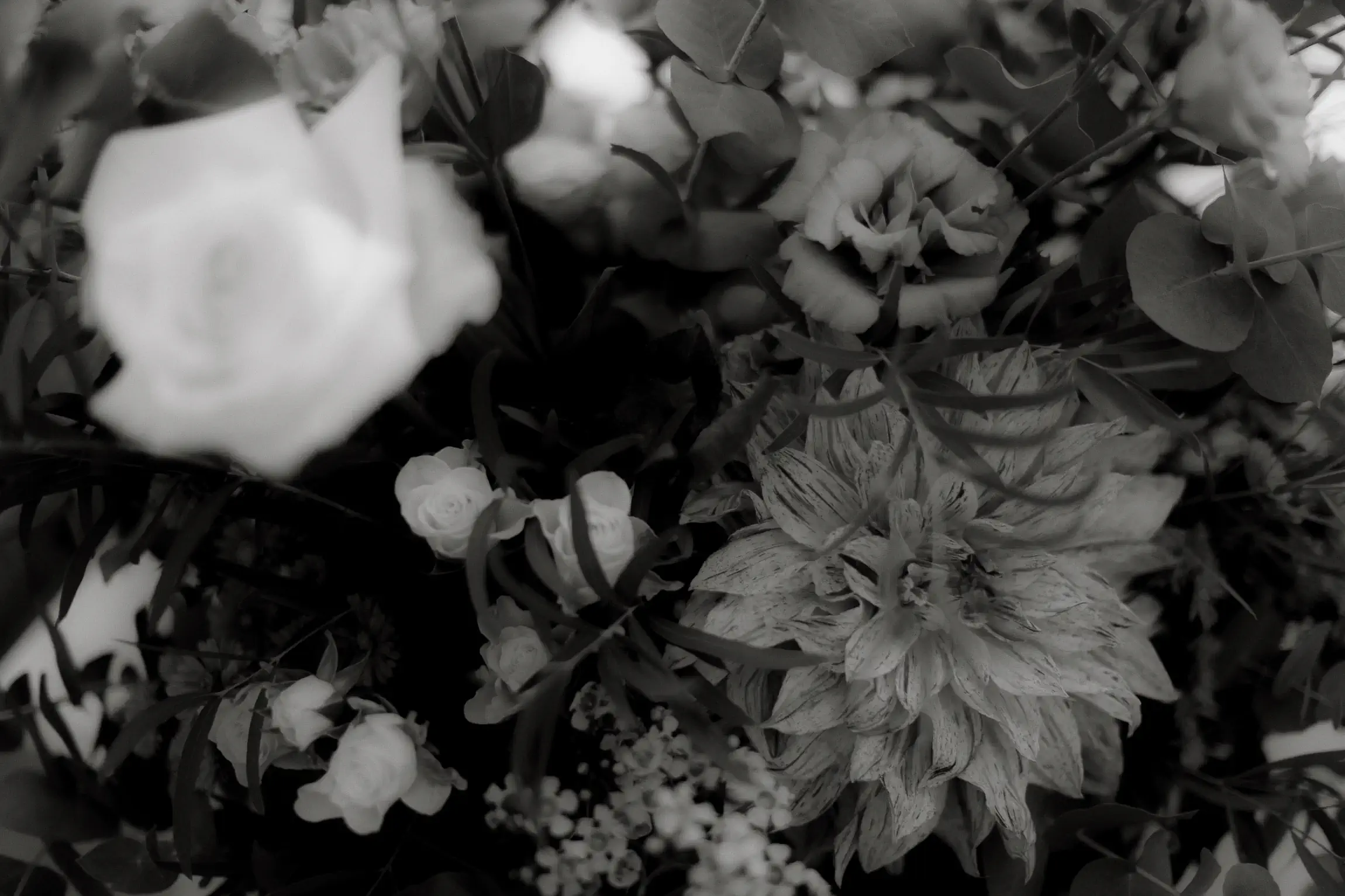 fotografo matrimonio puglia luxury chic masseria san nicola fasano reportage