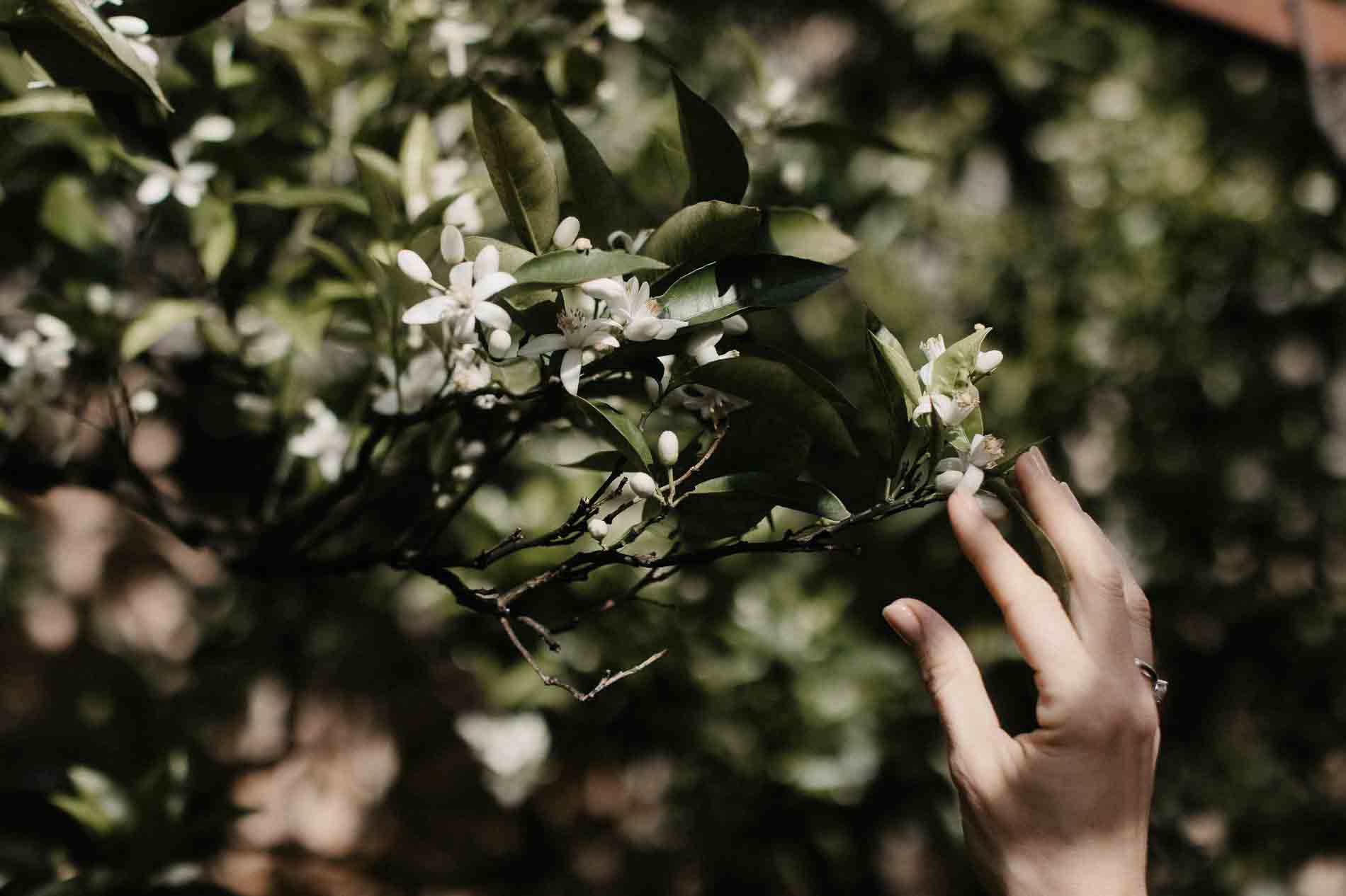 vins wedding photographer puglia masseria marzalossa fasano glamour