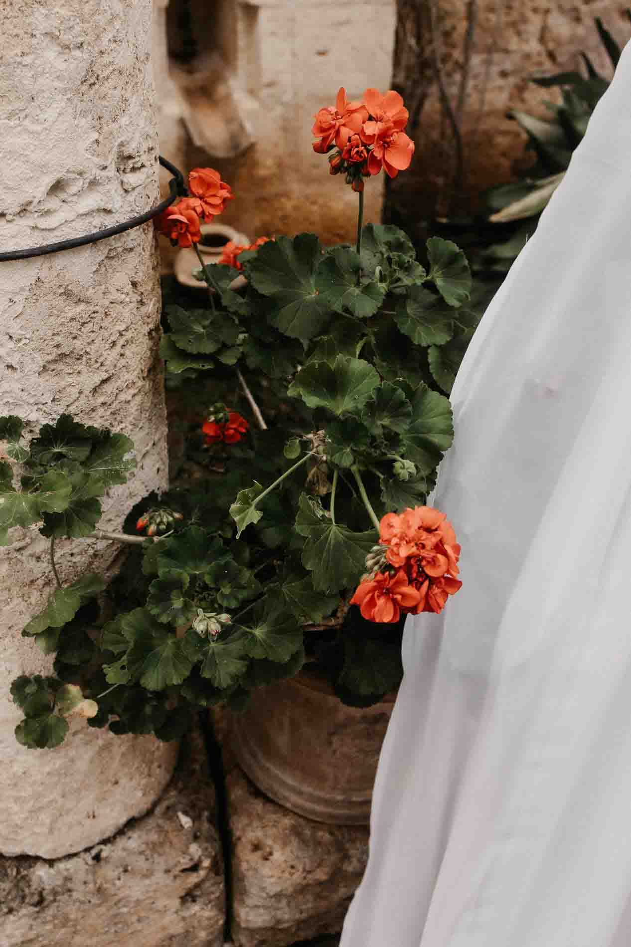 vins wedding photographer puglia masseria marzalossa fasano glamour