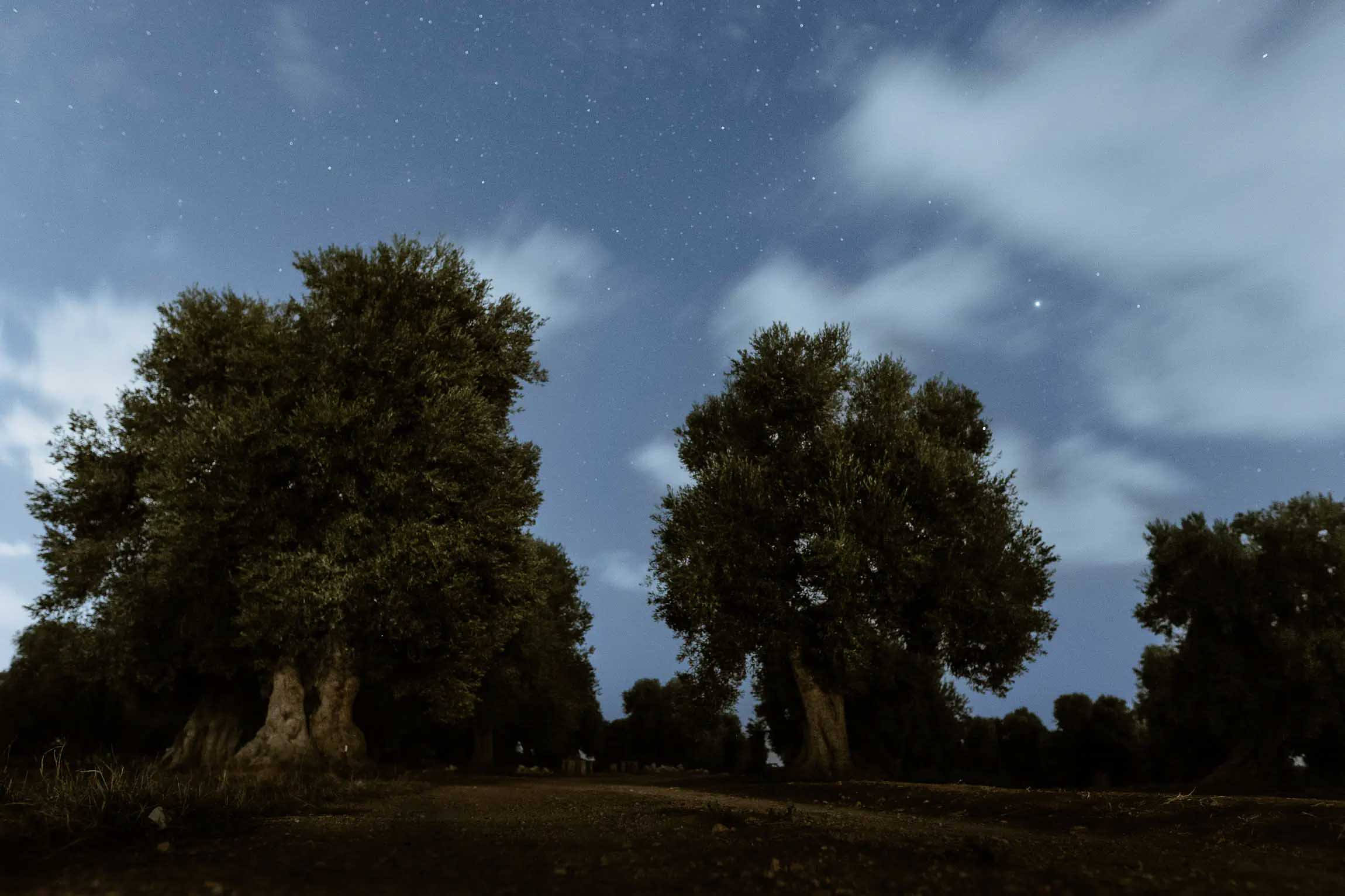 wedding photographer puglia luxury chic minimal masseria fasano san giovanni